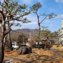 선일목장 이미지