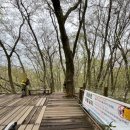 관음사 옆 화장실 이미지