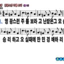 영광주