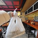 은화수식당이천점 | 내돈내산 이천돈가스 이천카레 이천시내돈가스 가성비 좋은 은화수식당