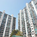 영통동 Daum카페