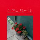 뽕달