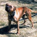 메이데이 이미지