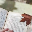 디자인단풍