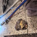 성남대로343번길 이미지