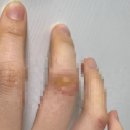 Motor City | BIKE vs BICYCLE_의미적 차이와 어원, 그리고 줄임말 원리까지…