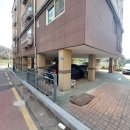 양곡초교 이미지