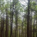 너와집쉼터 화장실 이미지