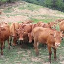 용산2리 이미지