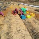 강산슈퍼 이미지