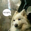 대룡중학교 이미지