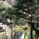 김흥락 | 남산 상선암에서(김흥락 한시)