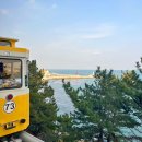 부산 스카이캡슐 및 해변열차 청사포-미포 구간 일몰 후기(주차,예약 팁, 코스 추천, 장단점)
