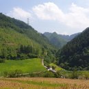 대복민박 이미지