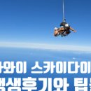 하와이노래클럽 이미지