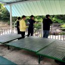 유수세천 아시아경제