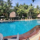 후아힌호텔- 아난타라후아힌 리조트 수영장 Anantara Hua hin Resort Swimming Pool 이미지