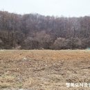 연곡리 농장 이미지