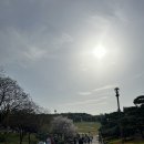 비비큐대구7호