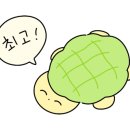 짬뽕지존덕계점 이미지
