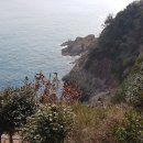 청산공원 이미지