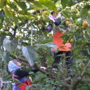 동읍농협(본점) 이미지