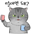 운동하기좋은날 이미지
