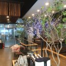 롯데리아(부산초읍) 이미지