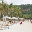 사오농장 이미지