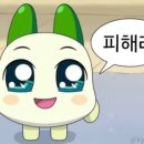 점핑배틀 이미지