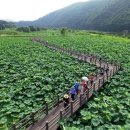 생태습지 이미지