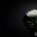 건양산업개발 이미지