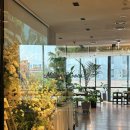 밀리언스푼 이미지