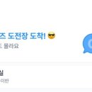 댕스미스 애견미용 이미지