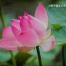 안심협동조합