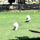 호텔정관루별관(콘도별장) 이미지