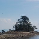 섬섬하우스 이미지