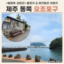신산리마을회관 | 제주 오조포구 애견 동반 동쪽 코스 추천 (웰컴투삼달리 촬영지)