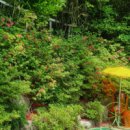 삼포민박 이미지