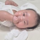 댕댕댕 | 꼬꼬노리 치발기 후기｜아기 치발기 사용시기부터 이앓이 치발기 추천
