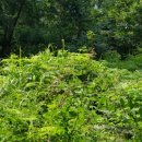 청리중학교 이미지