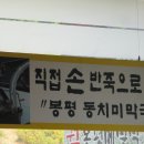 봉평동치미막국수 이미지