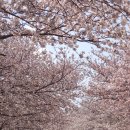 애월고등학교 이미지