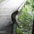 마니머그면주는집 | 자동차가 하늘을 날고 있습니다 1월