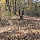 [국도36] 제천시 신현리