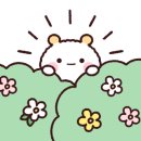 메호르디아 이미지