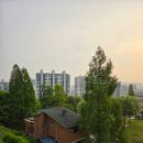 루원시티사거리(89076) | 루원시티 한식뷔페 미나리깡 일요일 영업식당