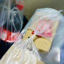 텍사스171스모크바베큐강서