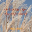 프렌드농장 | 연차 소진은 이렇게_ 간월재 억새평원·간월산 등산 + 일광 아구찜 먹방