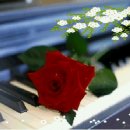 당신을 사랑합니다 / 사랑의 피아노 연주곡 모음 이미지